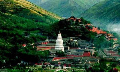 ​人称阿婆“蛤蟆精”附体，驱魔却致烧伤！