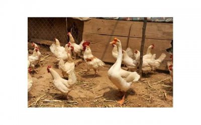 ​挽救吵架的婚姻，如何挽救因吵架而破裂的婚姻？