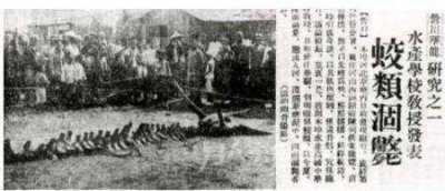 ​1934辽宁营口坠龙事件真相 龙坠落后神秘消失 再次出现已是死尸