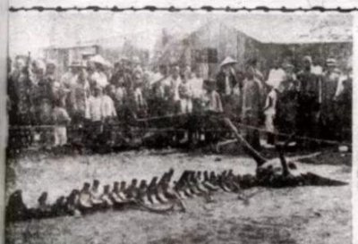 ​倩女幽魂3张国荣为什么没出演张国荣为什么没有演倩女幽魂第三部