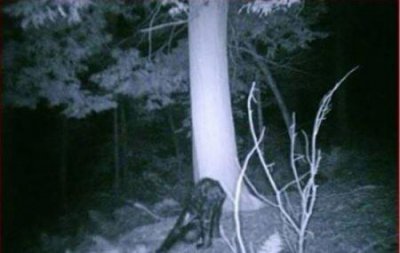 ​世界上最大的宫殿介绍