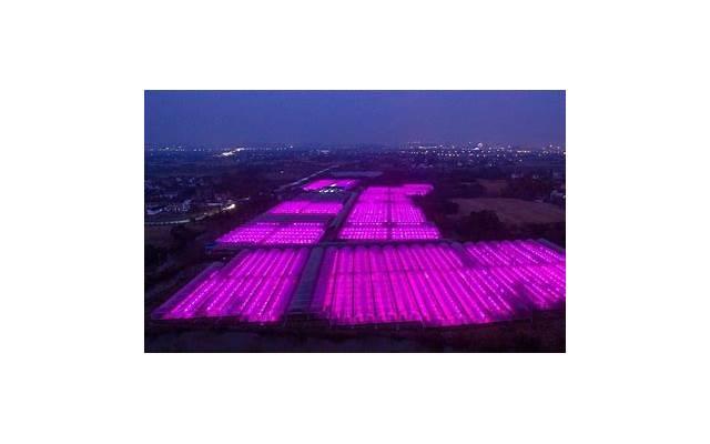 怀孕的人梦见老公有外遇是什么预兆