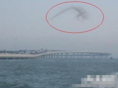 ​发生在物种体内的基因突变有可能