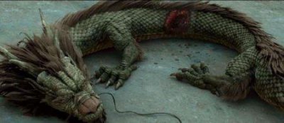 ​信天翁118 蓝眼信天翁