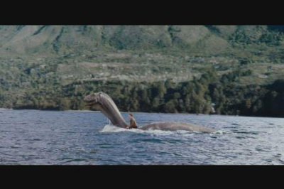 ​316不锈钢能用磁铁吸住是假的吗？