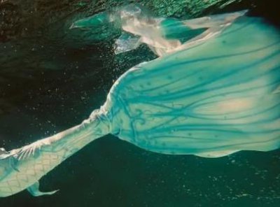 ​博比特虫能吃吗？博比特虫吃人