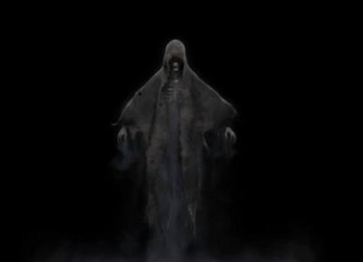 ​茶杯猪 茶杯猪有多大