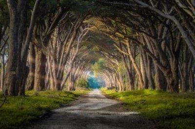 ​千年之谜：法门寺灵异现象流传千年