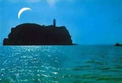 ​太平洋巨人章鱼,太平洋巨型章鱼长什么样子？