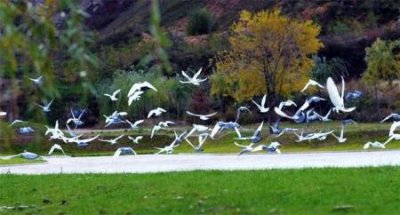 ​杭州西湖景点图简图平面图