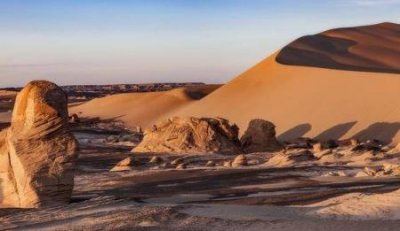 ​光之守护者神谕卡