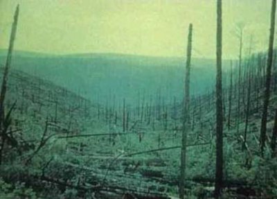 ​未解之谜：罕见埃及出土幼狮木乃伊和世界最大圣甲虫文物 古埃及文物