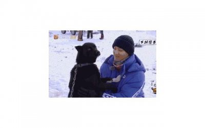 ​女人在家兼职赚钱，在家可以做什么兼职？