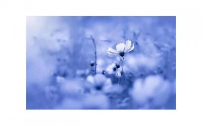 ​女性如何达到性高潮 什么原因导致女人达不到性高潮