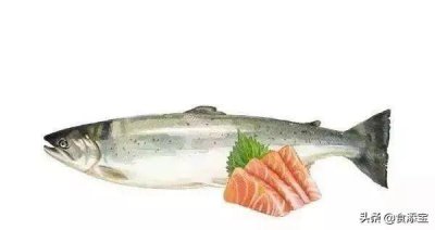 ​怎么切三文鱼？怎么做出有逼格的三文鱼菜式？