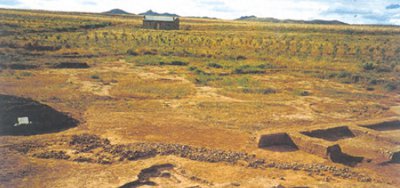 ​龙是否真的存在过？