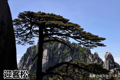 ​总有人说安徽黄山的迎客松不在了？这到底是怎么回事呢?