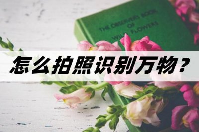 ​怎么拍照识别万物？分享几个拍照识别的方法