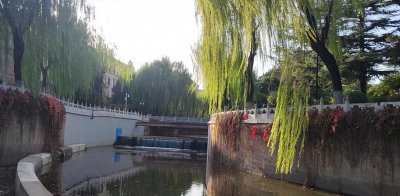 ​王金平为什么会突然“罢工”了？