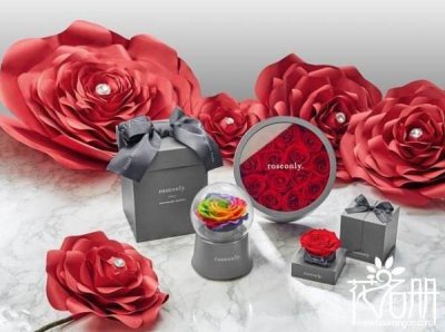 ​永生花一般多少钱一盒 7大品牌永生花价格（89元-1999元不等）