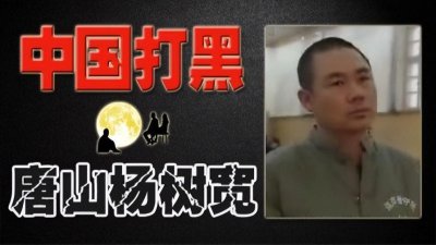​唐山最猖狂的黑老大，敲诈勒索8个亿开装甲车遛狗，2008年被判刑