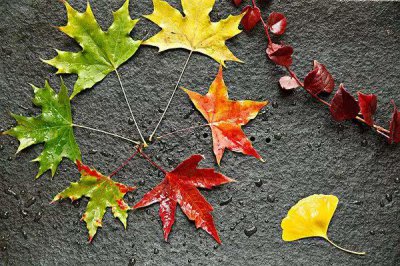 ​12款简易树叶手工，美丽不在于复杂