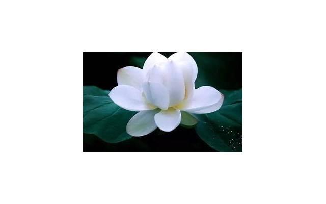 吵架后聪明女人先低头，聪明女人从不做这5件事