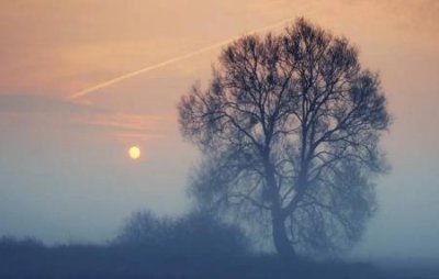 ​国际象棋王车易位 为什么沉迷象棋的人都混不好