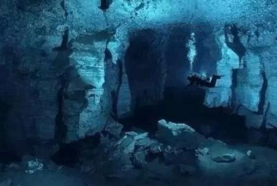 ​世界上最小的哺乳动物 世界上最小的哺乳动物是什么动物？