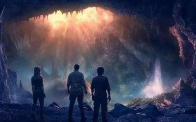 ​猪笼草捕虫 猪笼草捕虫 全过程