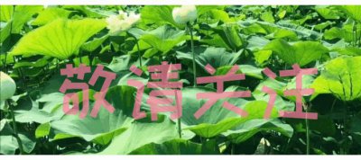 ​仙娥礁地理位置关键，吹填可拱卫美济岛、仁爱礁，助收回越占岛礁