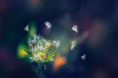 ​明朝差点搞出核弹天启大爆炸的真正真相