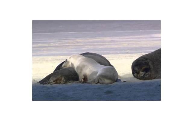 聪明到让男人害怕的星座女(聪明的让男人害怕的星座女)