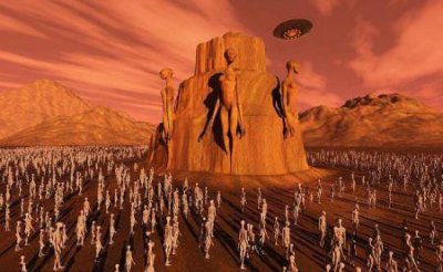 ​凤凰是真实的存在的生物 有人亲眼见到并拍摄了下来