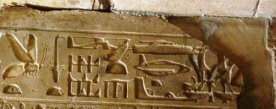 ​地球人其实不是人 人类其实是被放逐到地球