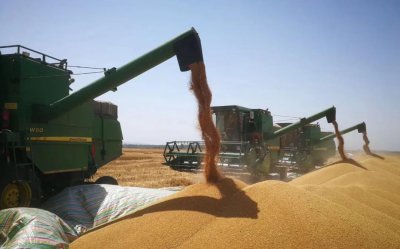 ​追随袁隆平之问：现代农业应该长什么样子