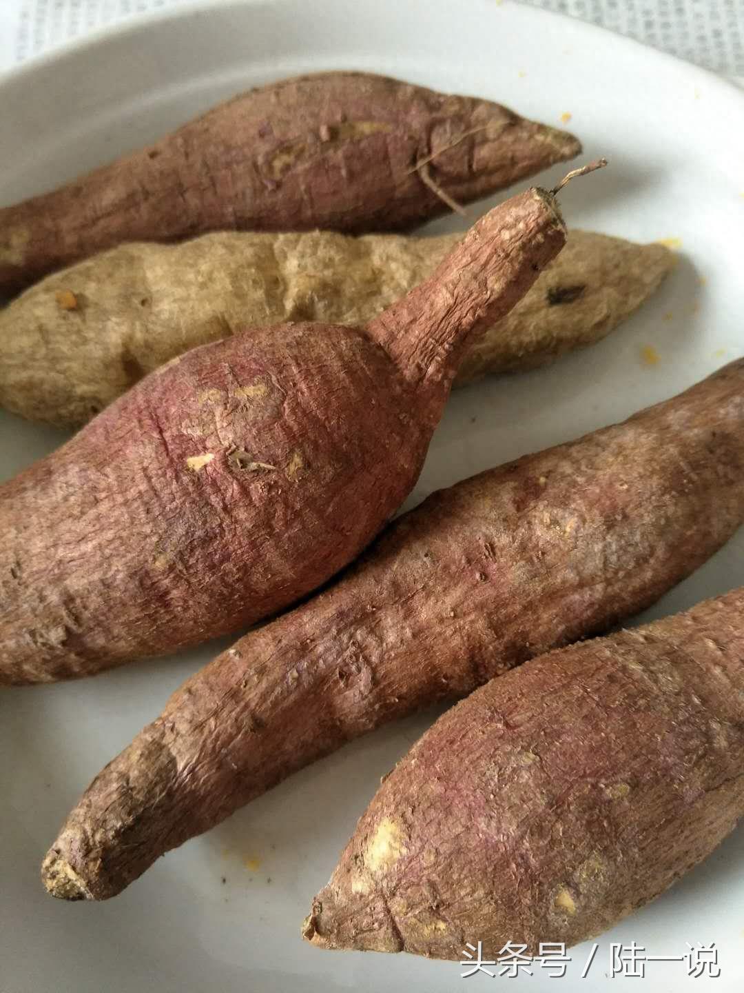 厦门城中村村民，给他5套商品房也不搬，自己种菜养鸡租房很惬意