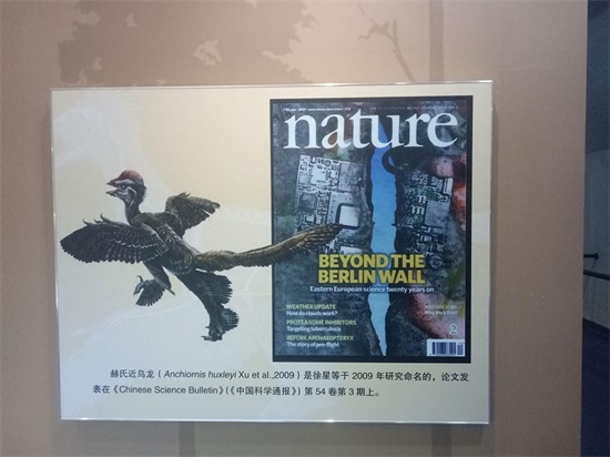 世界上最早的、长有羽毛的恐龙—赫氏近鸟龙