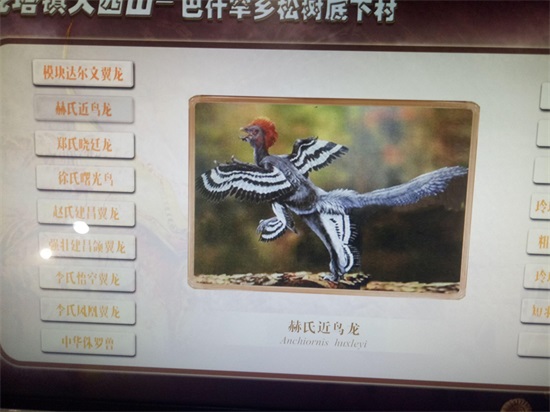 世界上最早的、长有羽毛的恐龙—赫氏近鸟龙