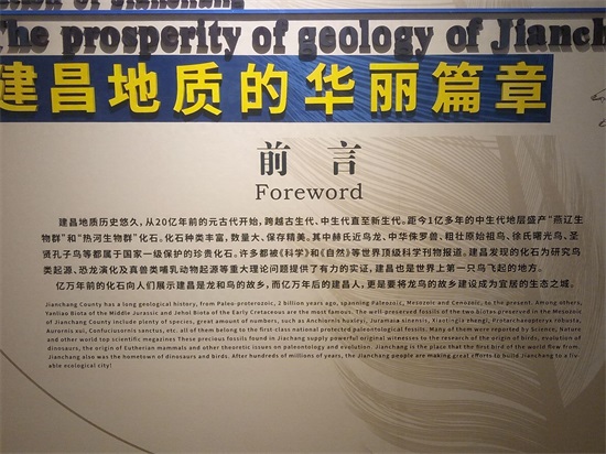 世界上最早的、长有羽毛的恐龙—赫氏近鸟龙