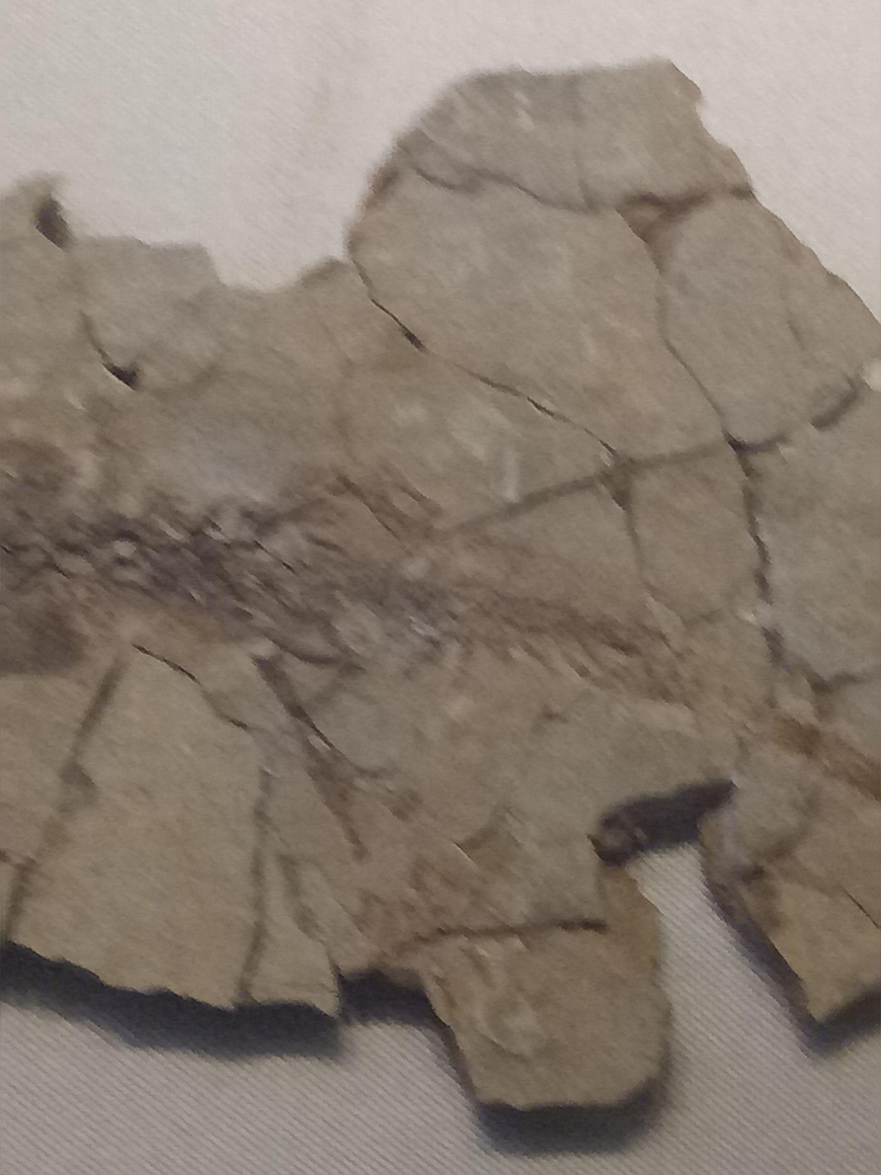 世界上最早的、长有羽毛的恐龙—赫氏近鸟龙