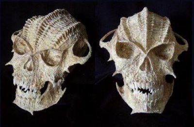 ​蒙特利尔世界一流马戏之都 组图