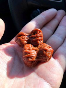 ​玩了10年的花生核桃，你见过吗？包浆不加滤镜都好看的那种！