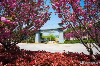 ​你好，这里是永城演集！美丽演集欢迎您