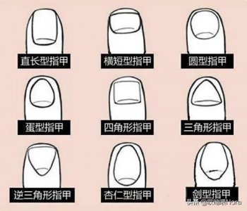 ​指甲七大形状，百合形指甲最受欢迎，我是第二种，你呢？