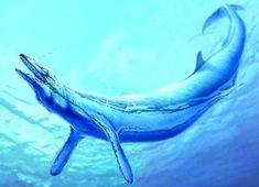 世界上最凶残的史前巨兽——龙王鲸