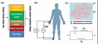 ​体脂秤的原理