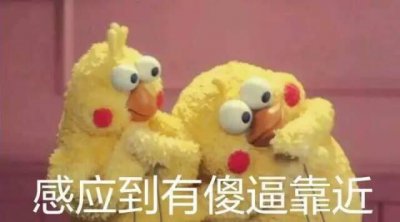​最近很火的表情包：脆皮鸡系列