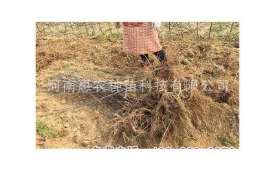 ​男人发现老婆出轨，该如何面对？