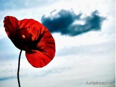 ​机缘巧合对你来说它意味着什么